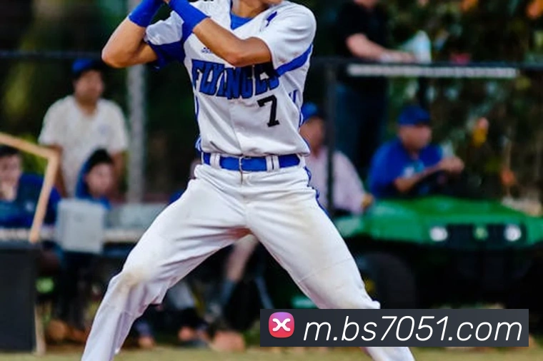 百胜彩票官网平台登录入口平台生态图